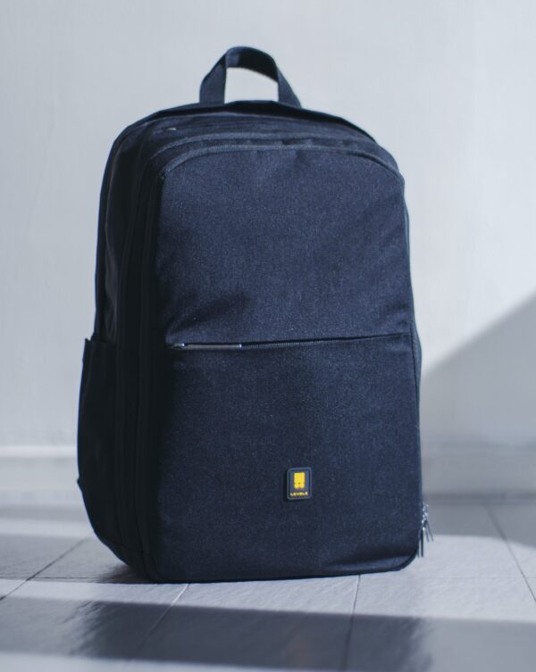 Denim Carryall